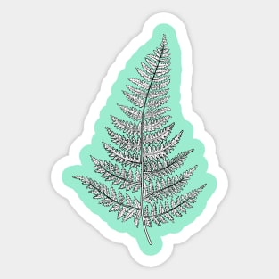 Botanical Fern Drawing Sticker